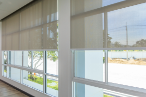 custom windows